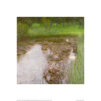 The Swamp By Gustav Klimt