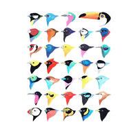 Thirty-Five Birds By Fran Giffard