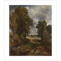 The Cornfield By John Constable