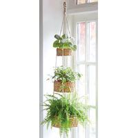 Three Tier Hanging Basket