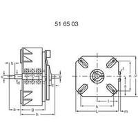 Thalheimer Variable autotransformer, for mounting in a cabinet 1 - 250 V 4 A