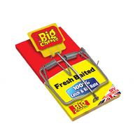 The Big Cheese Fresh Baited Rat Trap (pack Of 6)