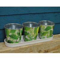 Three Zinc Pots on a Tray with Elm Print Design by Fallen Fruits