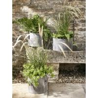 Three Aged Zinc Planters