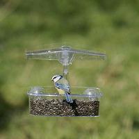 The Observer Window Feeder