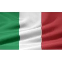 The Italian Mixed Case