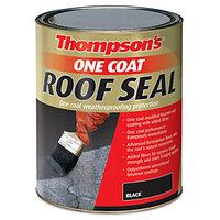 Thompsons One Coat Roof Seal Black 5L