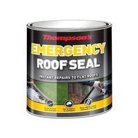 thompsons emergency roof seal 25 litre