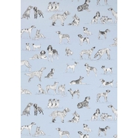 Thibaut Wallpapers Best Friend, T1040