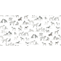 Thibaut Wallpapers Best Friend, T1038