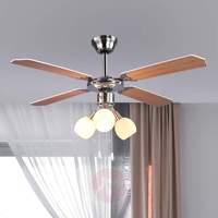 Thalea  ceiling fan with light