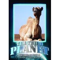 The Third Planet: The Camels Of Pushkar [DVD]