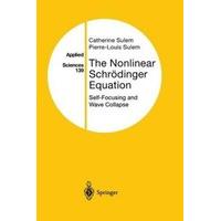 The Nonlinear Schrodinger Equation Self-Focusing and Wave Collapse