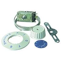 THERMOSTAT KIT RANCO VX0 with High Quality Guarantee