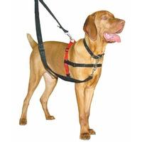 The Halti Harness