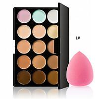 The New Hot Special Professional Makeup Base Palettes Cosmetic 15 COLOR Concealer Facial Face Cream Care Camouflage