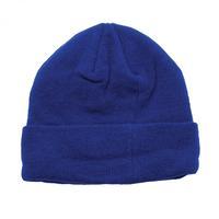 Thinsulate Hat ClassicRoyal