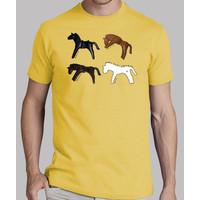 thoroughbred horse race