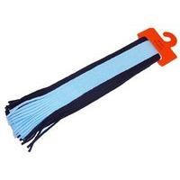 The GAA Store Supporters Mini Scarf - Sky Blue/Navy