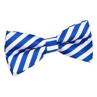 Thin Stripe White & Royal Blue Pre-Tied Bow Tie
