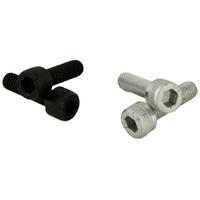 Thomson Stem Bolts (2pcs) | Silver