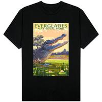 The Everglades National Park; Florida - Alligator Scene
