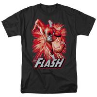 the flash flash red gray