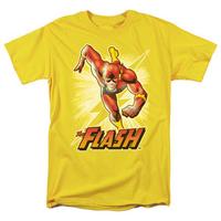 The Flash - Flash Yellow