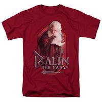 The Hobbit: An Unexpected Journey - Balin