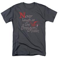 the hobbit the desolation of smaug never laugh