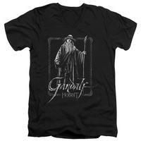 The Hobbit: An Unexpected Journey - Gandalf Stare V-Neck