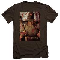 the hobbit an unexpected journey gandalf poster slim fit