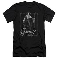 The Hobbit: An Unexpected Journey - Gandalf Stare (slim fit)