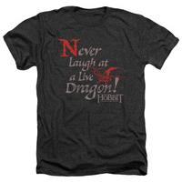 The Hobbit: The Desolation of Smaug - Never Laugh