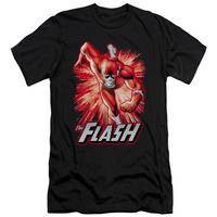the flash flash red gray slim fit