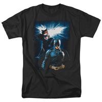 The Dark Knight Rises - Bat & Cat