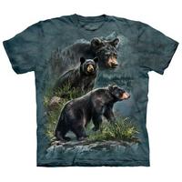 Three Black Bear