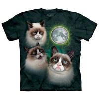 Three Grumpy Cat Moon