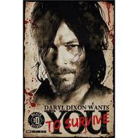 The Walking Dead Poster Daryl 217