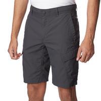 The North Face Men\'s Horizon Peak Cargo Shorts - Grey, Grey