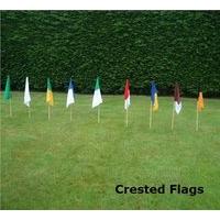 The GAA Store Crested Pitch Perimeter Flags set of 20