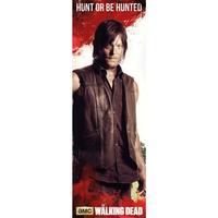 the walking dead door poster daryl 315