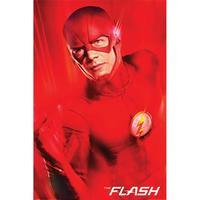 The Flash Poster 267