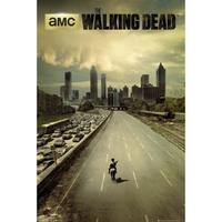 The Walking Dead Poster City 254