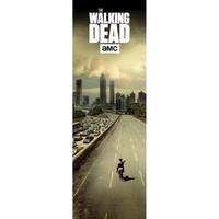 the walking dead door poster city 322