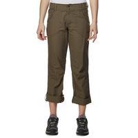 the north face womens horizon tempest plus pants brown