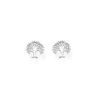 Thomas Sabo Silver Cubic Zirconia Tree Of Life Studs