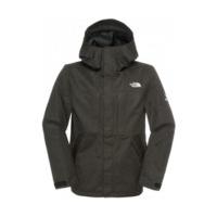 The North Face Men\'s NFZ Jacket