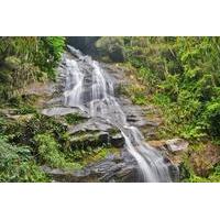 Tijuca National Park Customizable Private Tour in Rio de Janeiro