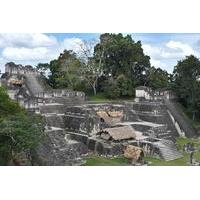 Tikal Day Tour